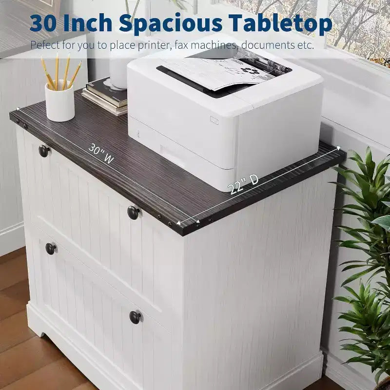 Acekool 2 Drawer File Cabinet with Hanging Folders, Rustic Wood Top Storage Organizer for Home Office, White