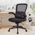 Costway Mesh Office Chair Adjustable Height&Lumbar Support Flip up Armrest Black